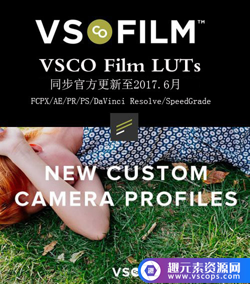 电影胶片VSCO Film LUTs 1-7 3DLUTs 预设(AE,PR,FCPX )2017.6更新插图