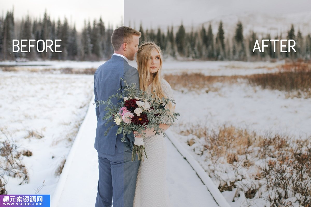 冬季婚礼电影胶片电脑版LR预设/手机版APP预设 Winter Wedding Lightroom Presets插图4