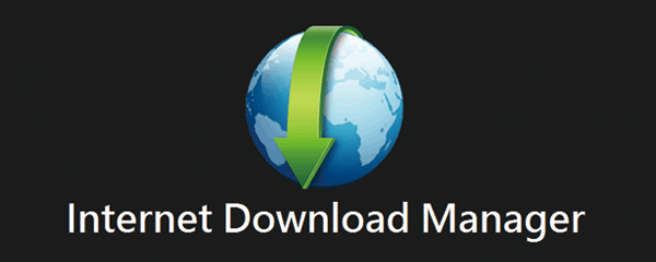 Internet Download Manager (IDM) v6.35.8中文完美版/绿色免安装版插图