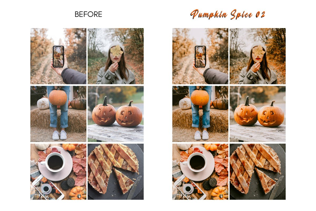 ins秋天南瓜香料/ CT制作暖色调和乳白色 Lightroom APP移动预设插图7