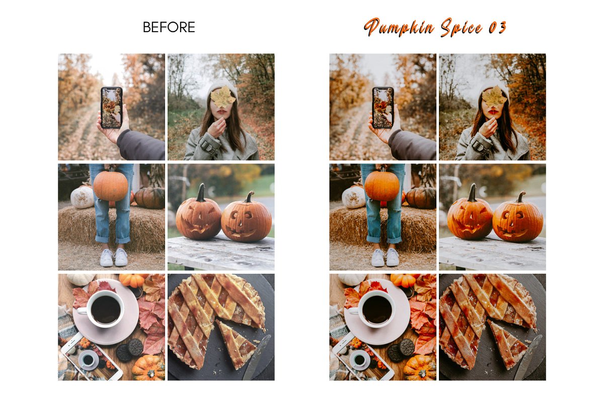 ins秋天南瓜香料/ CT制作暖色调和乳白色 Lightroom APP移动预设插图6