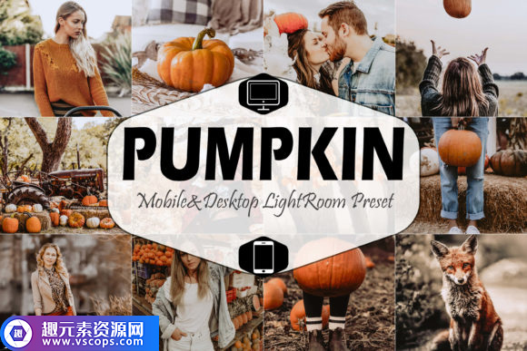 INS滤镜人像胶片预设APP LR移动版 lightroom预设Pumpkin Mobile Desktop Lightroom Presets插图 INS滤镜人像胶片预设APP LR移动版 lightroom预设Pumpkin Mobile Desktop Lightroom Presets插图