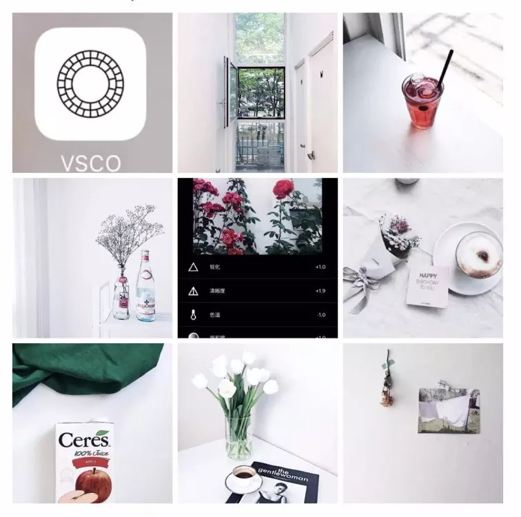 VSCO 必备多种网红经典常用feel调色教程1⃣️插图 1571795598-4ffce04d92a4d6c
