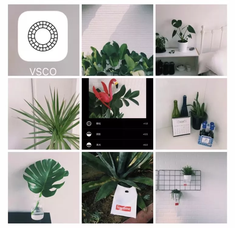 VSCO 必备多种网红经典常用feel调色教程1⃣️插图5 1571795601-4ffce04d92a4d6c