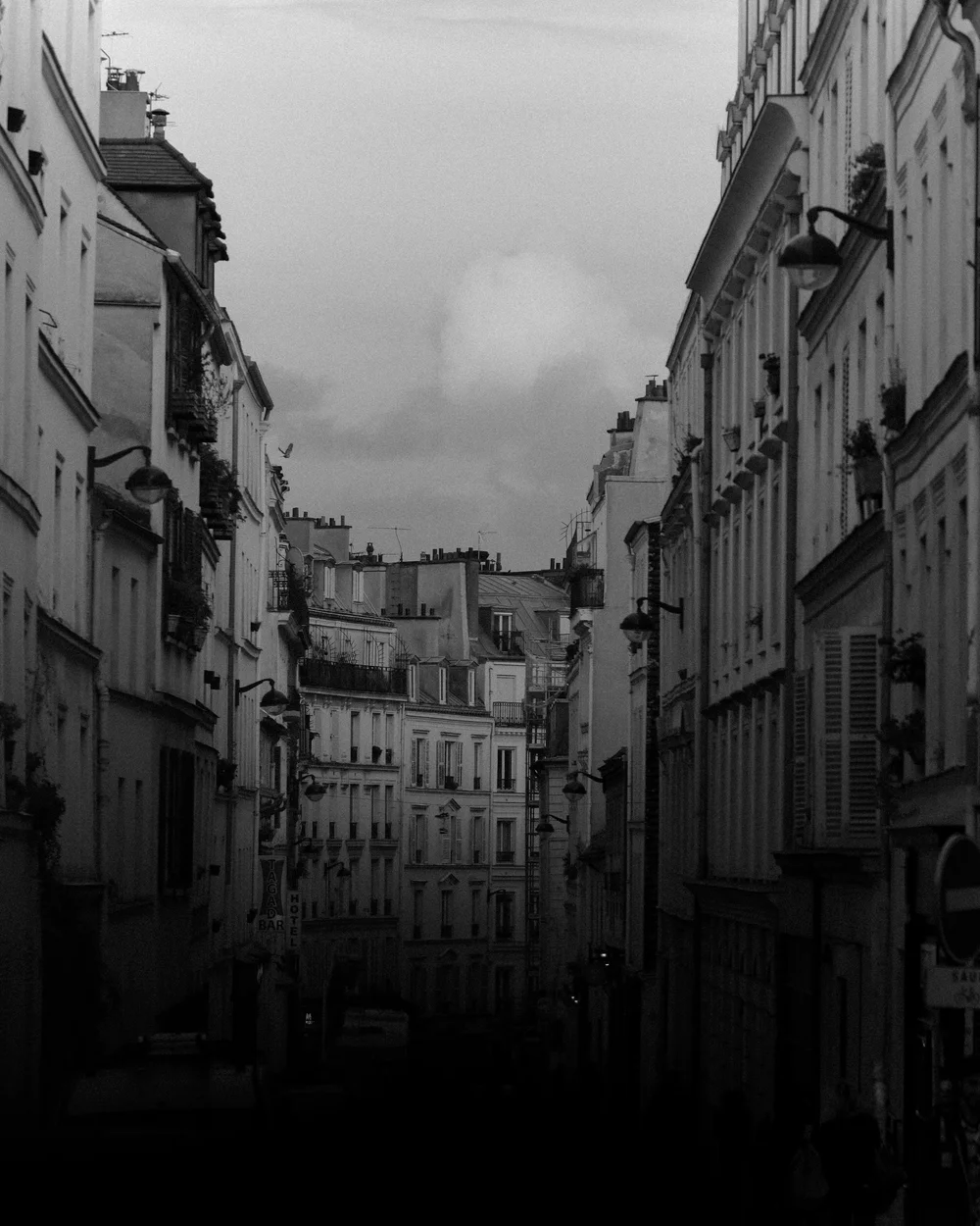 法国电影质感Lightroom预设 20世纪60年代复古胶片风格PS/ACR调色包插图2