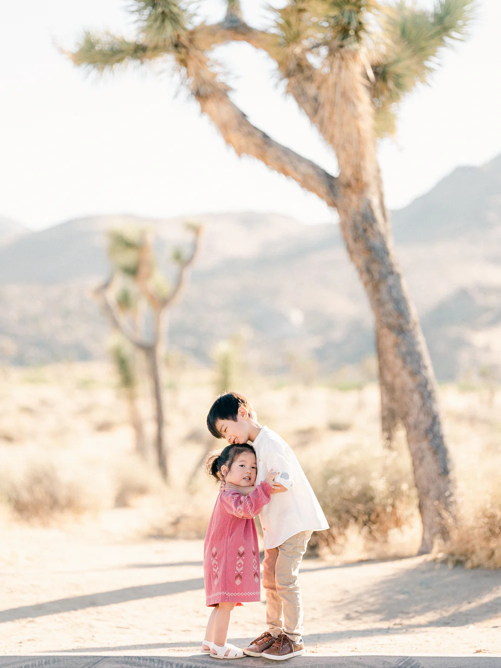 REFINED x Caroline Tran 胶片级调色LUT预设套装色彩层级婚礼LUTs预设插图4