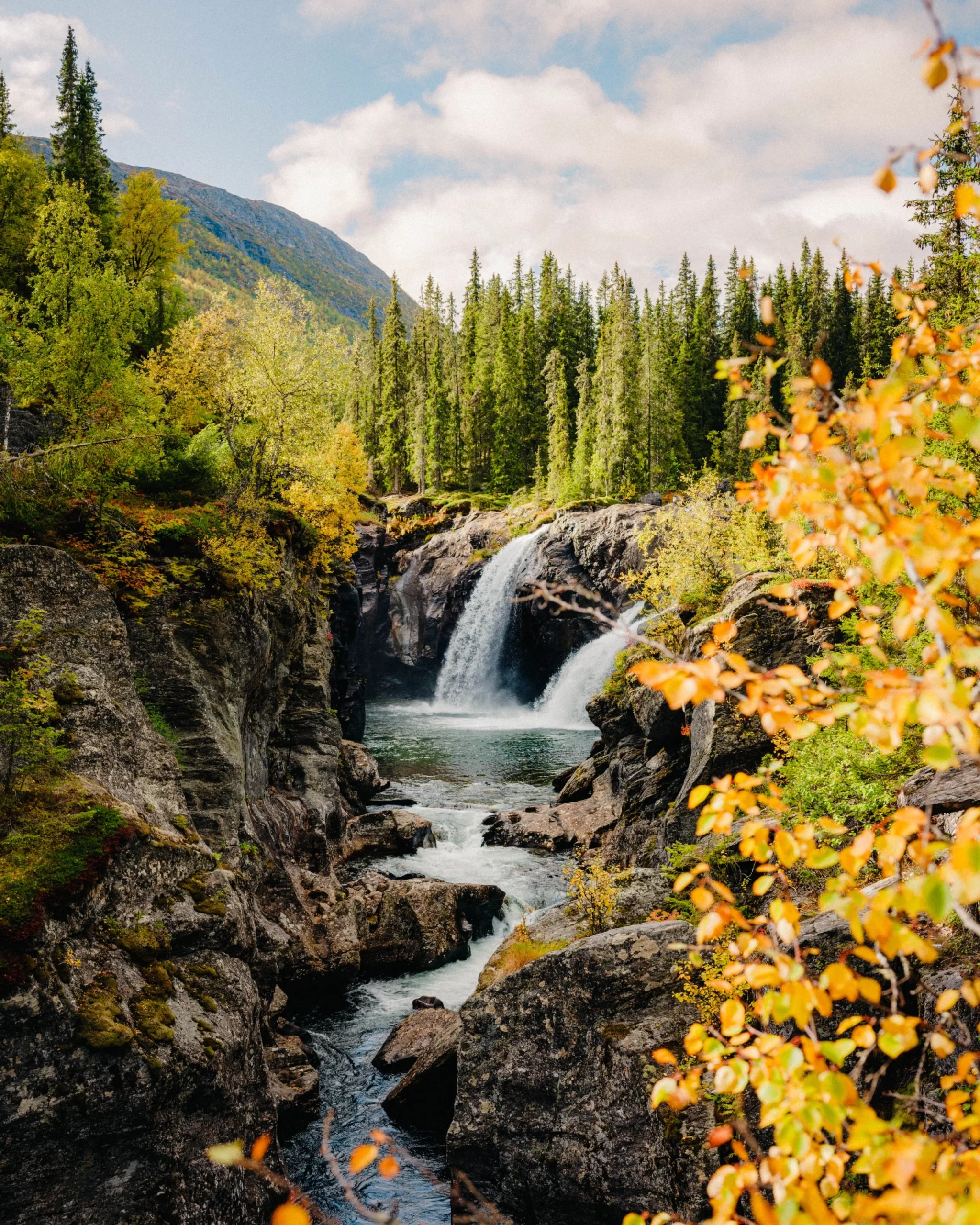 Linus Bergman模拟胶片Lightroom预设合集包含55款胶片风格效果插图13
