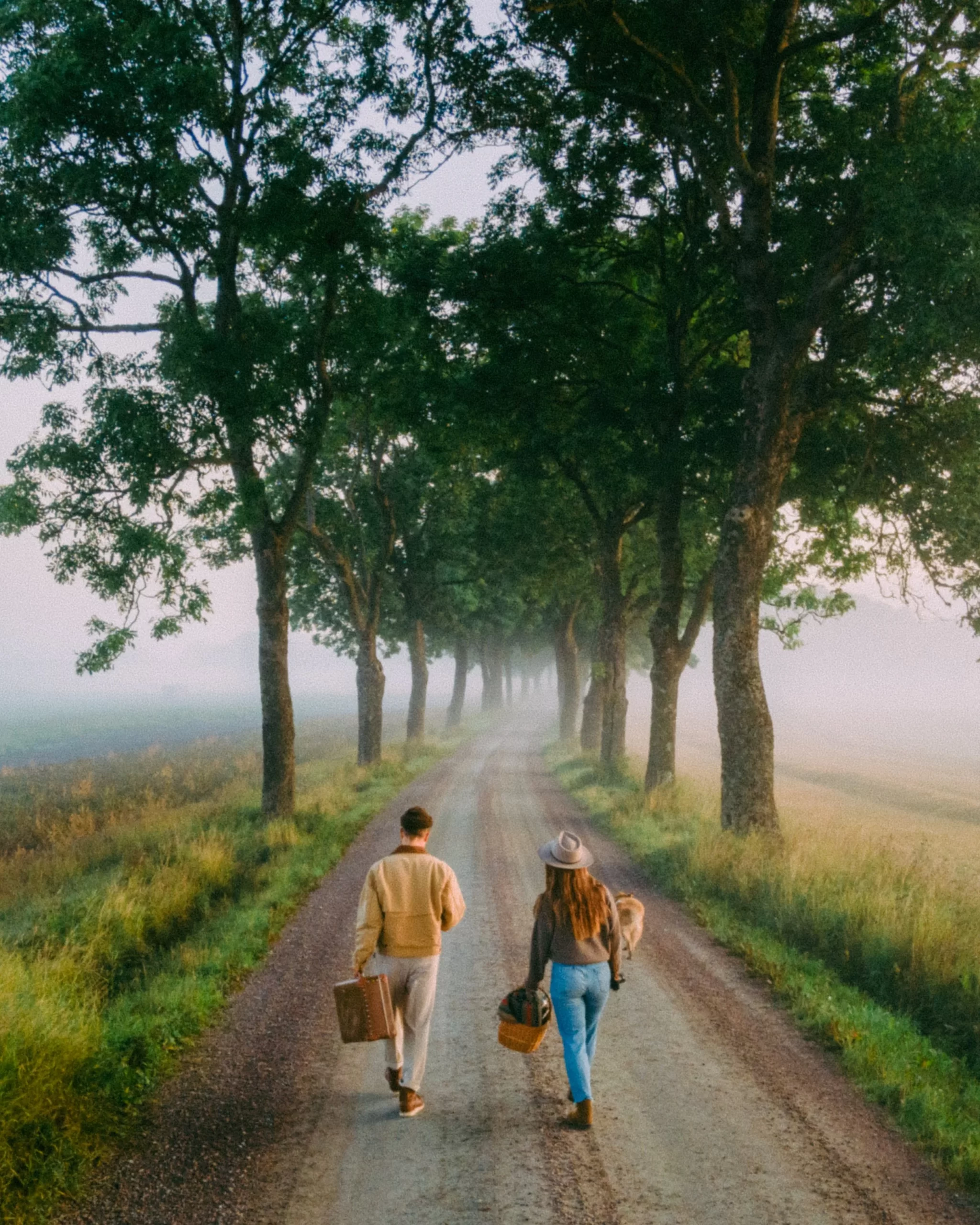 Linus Bergman模拟胶片Lightroom预设合集包含55款胶片风格效果插图18