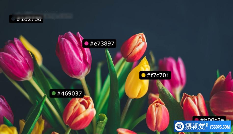 1689916834-e9ff9e12a488686 1689916834-e9ff9e12a488686
