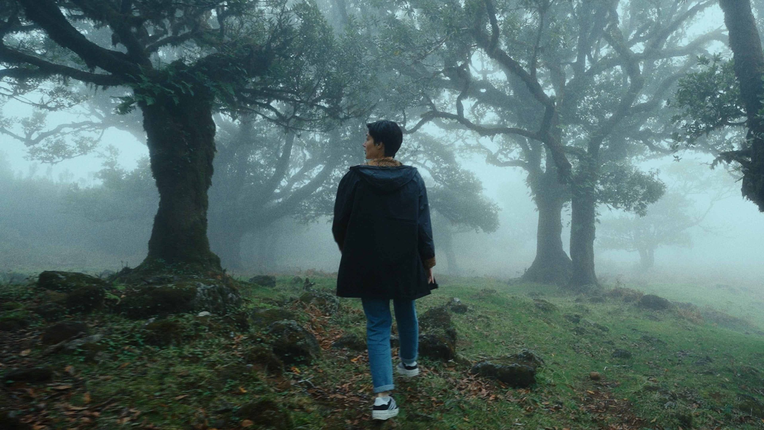 下载-1